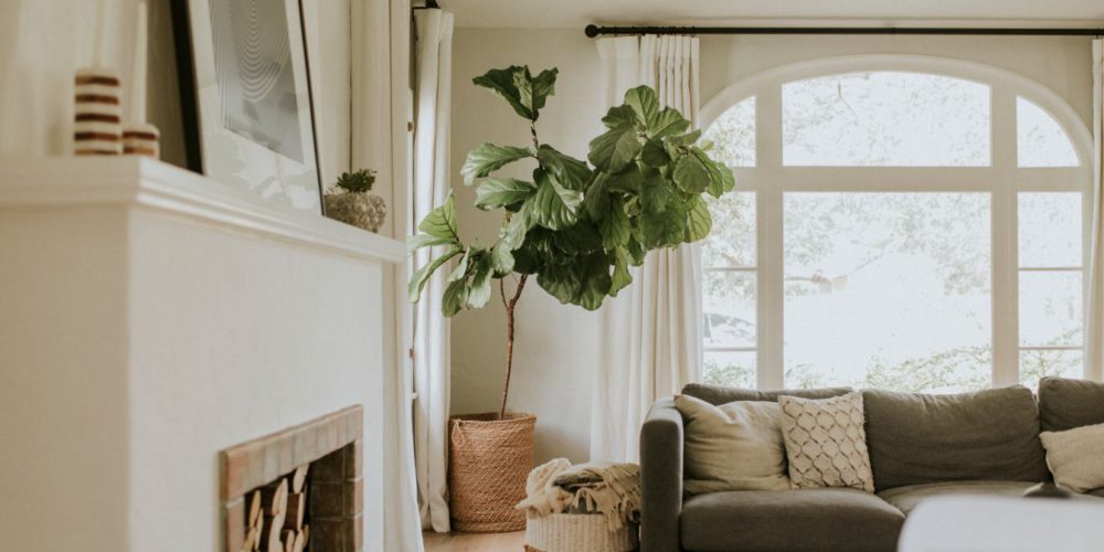 cozy-home-living-room
